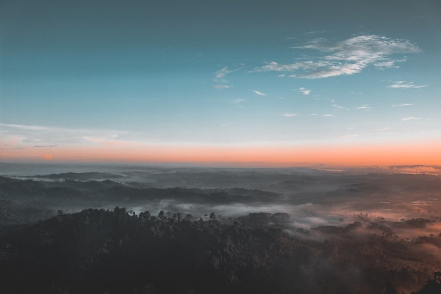 Bird S Eye View Photography Of Green Forest 1208379